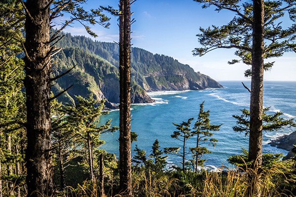 Oregon Coast Oregon Coast